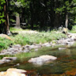 Meet your Posher, Anya